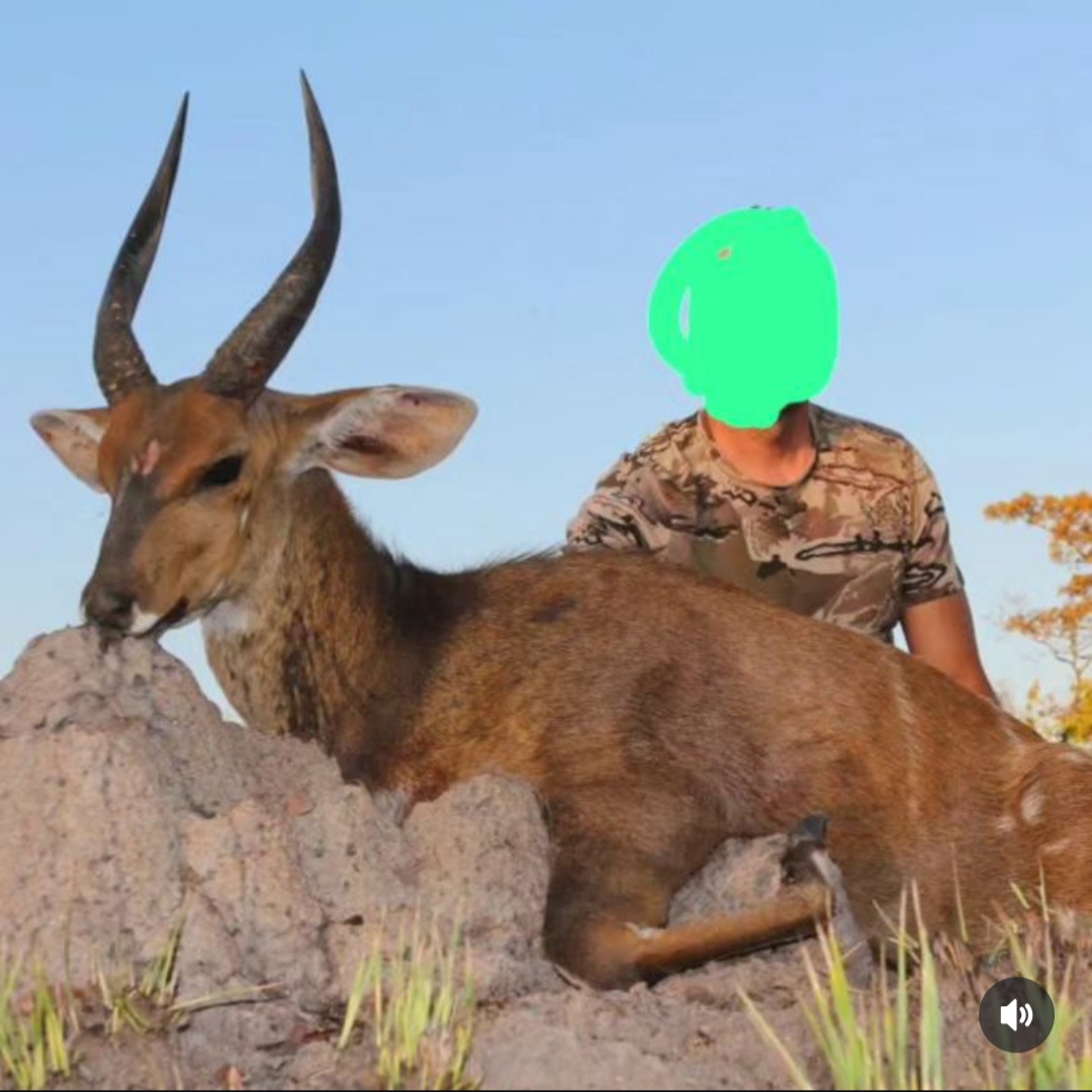 Scenic lookout at sunset