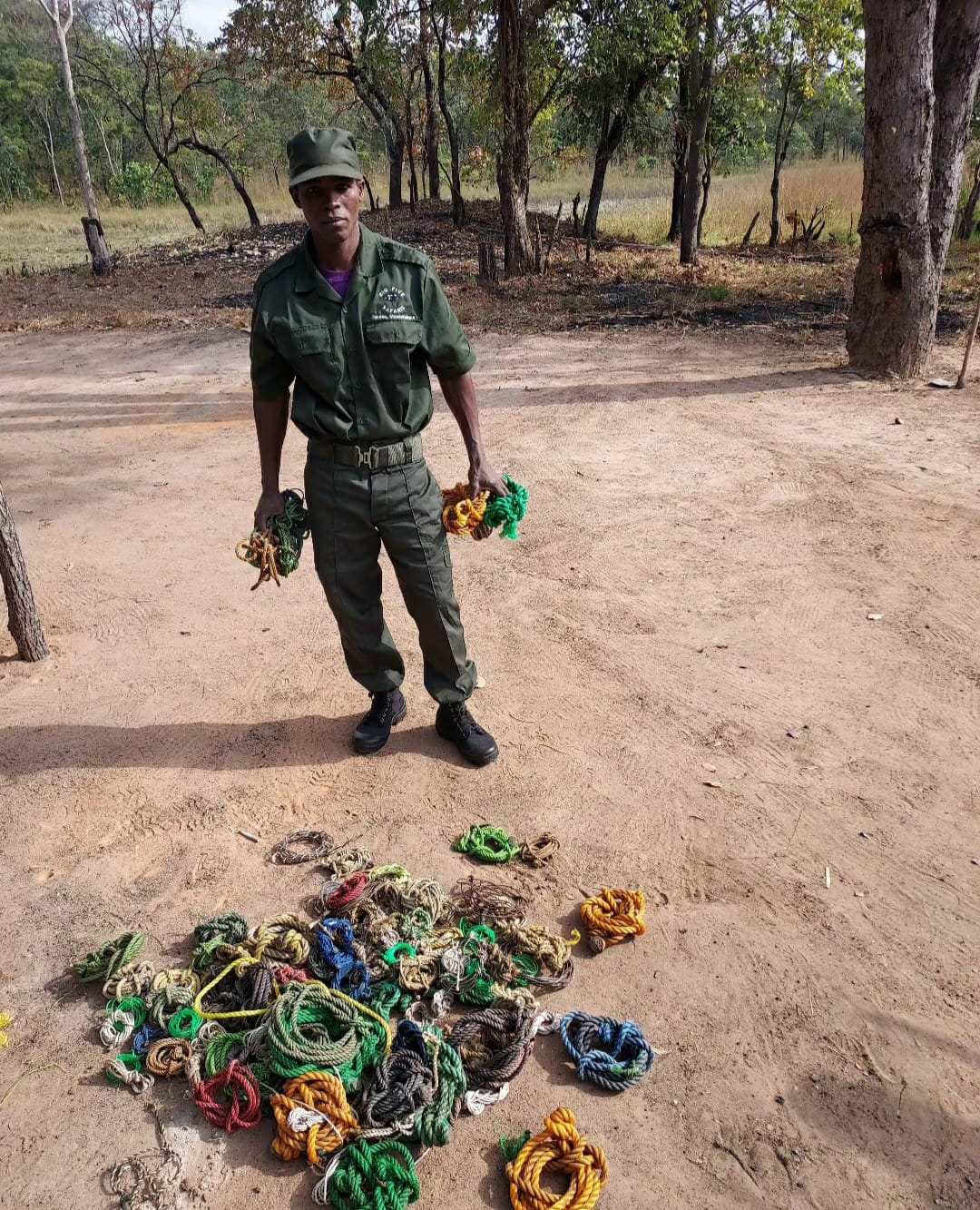 Conservationist activities