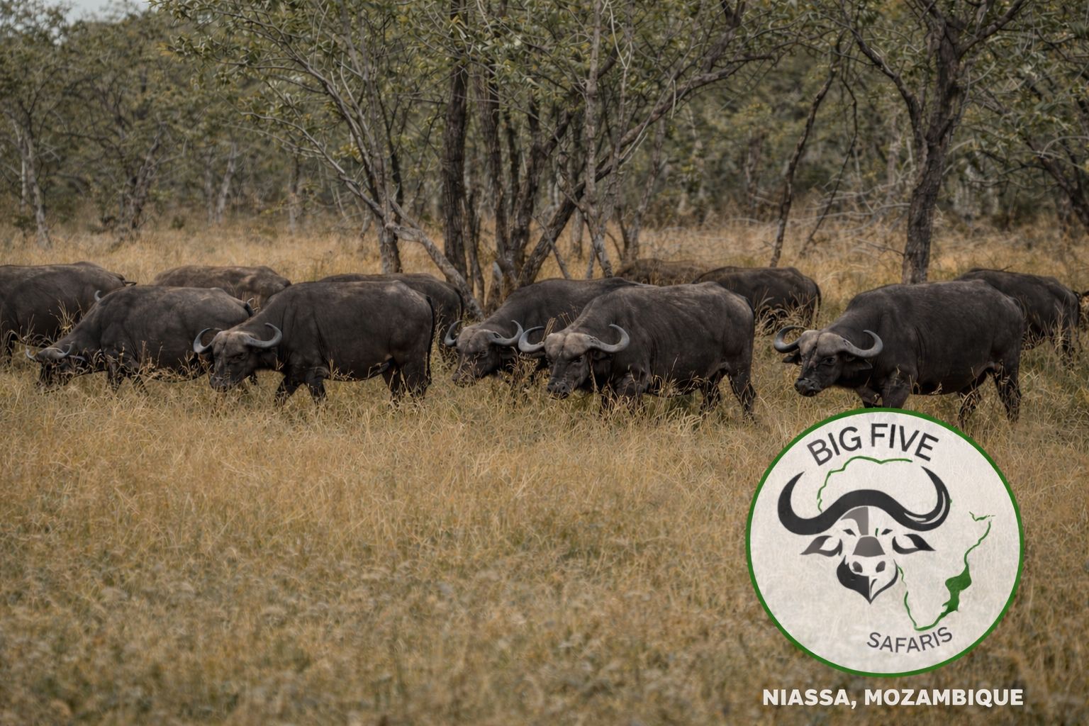 African Wilderness Landscape