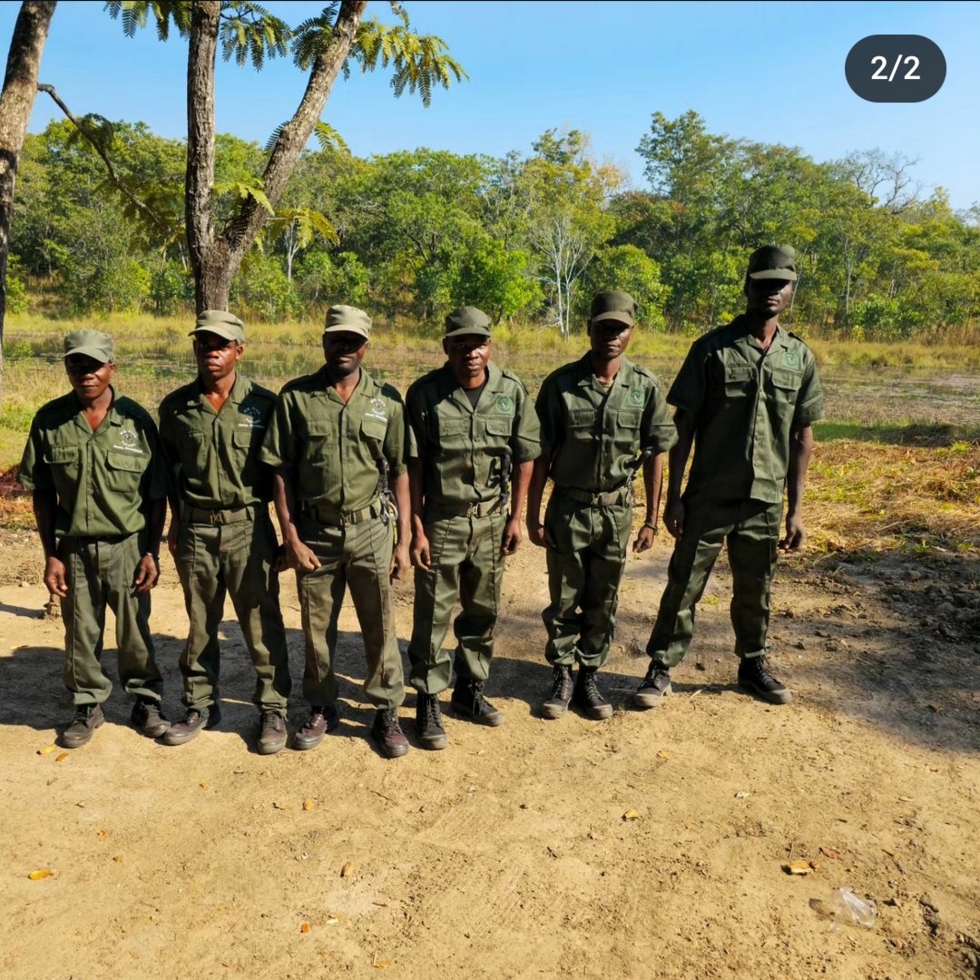 Misty Niassa savanna at dawn