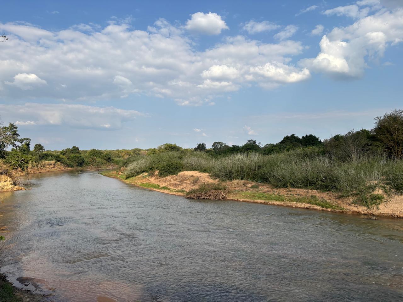 Luxury Safari Tent Interior with warm natural light